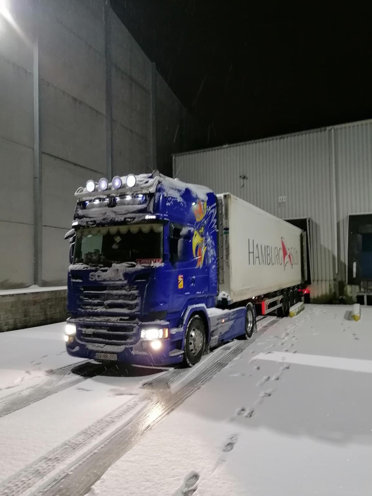 DVP NEXUS SRL - Constructii de cladiri Ipotesti